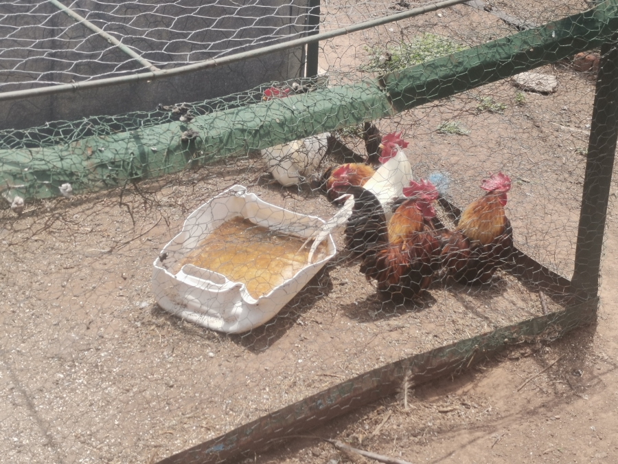 5 Bedroom Property for Sale in Senekal Rural Free State